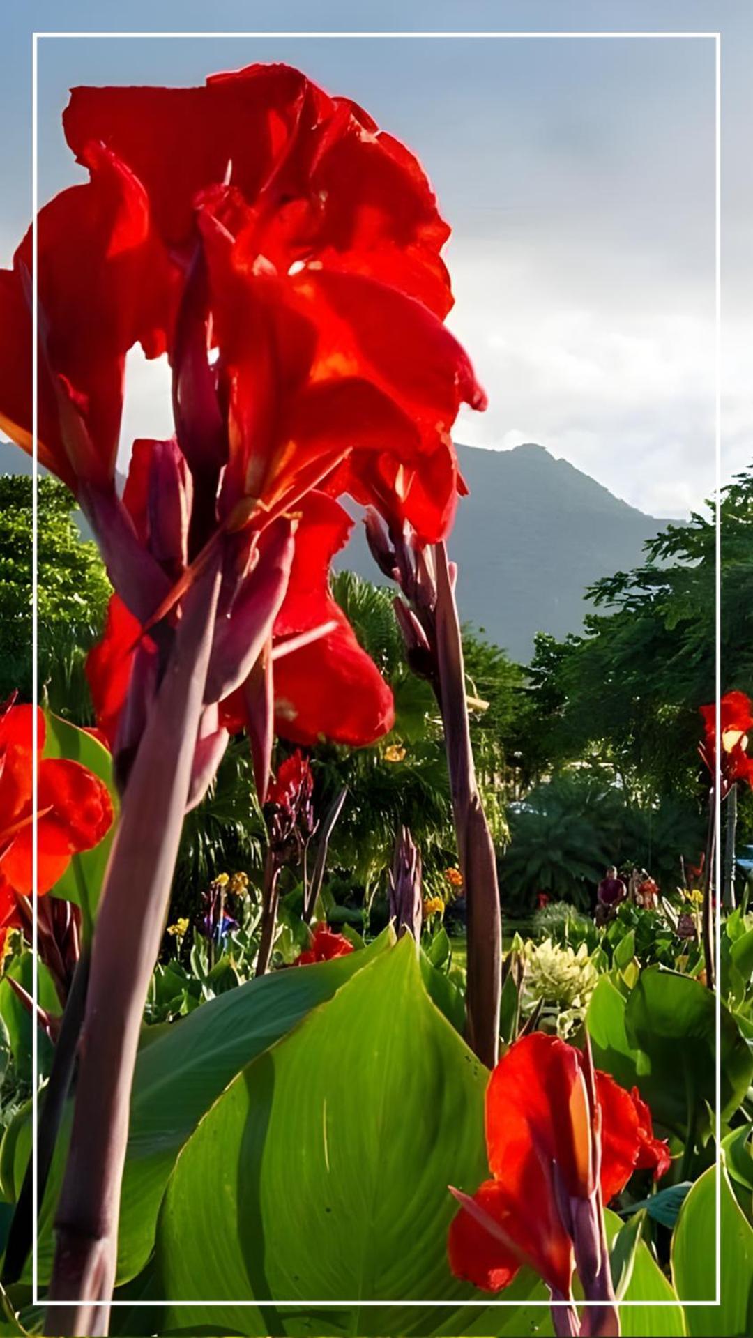 Destino Hotel & Hot Springs - Lujoso Hotel En Provincia Guanacaste, San Bernando De Bagaces, Bagaces エクステリア 写真